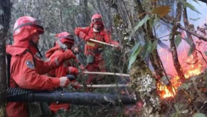 火种任务：探索未知的征程，点燃希望的火焰