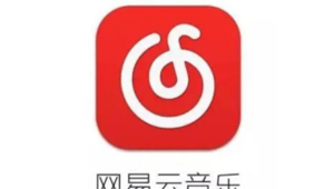 网易云平台火种计划下载：开启别样音乐资源获取之旅