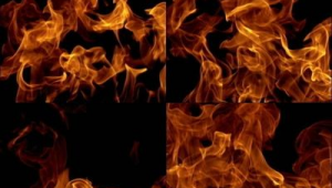 火种百科：探索知识奥秘，开启智慧全新篇章