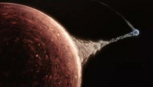 火种计划究竟能否成功？诸多因素交织下的未知探寻